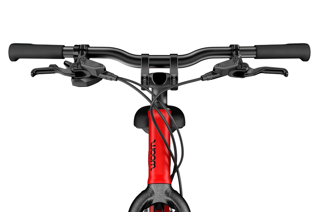 Woom Explore 5 | 24 inch | 7-11 years | 125-145 cm