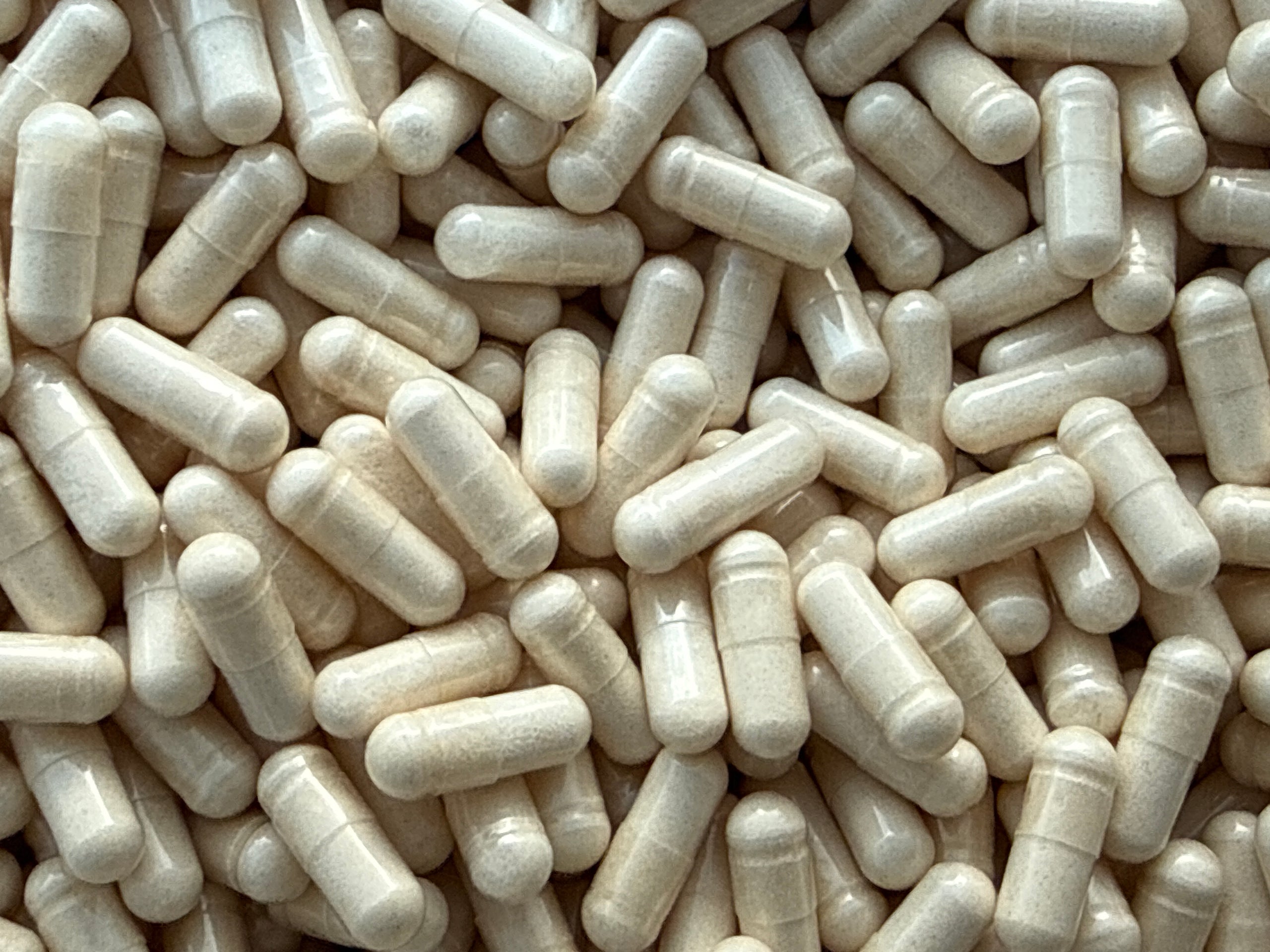 Beta-Ecdysterone 98% – Capsules – BulkLab Nutrition - Nutrition Geeks Supplementen en Shilajit-levering