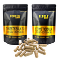 Testo Booster - TurkesteBulk + Ecdystebulk - Turkesterone 1000mg 50% + Beta-Ecdysterone 1000mg 98% - BeBulk Nutrition - Nutrition Geeks Supplementen en Shilajit-levering
